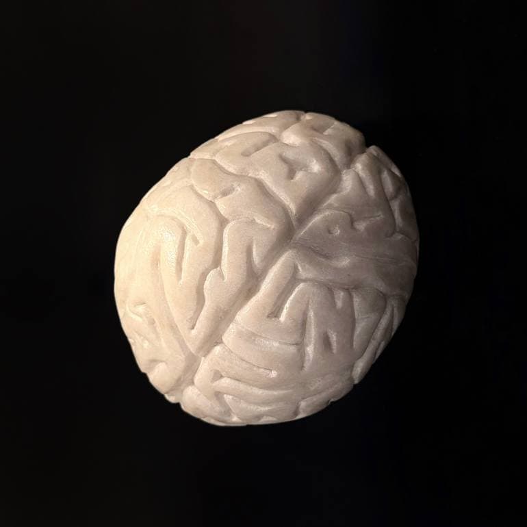 Overhead view of Daniel's hand-carved Carrara marble brain